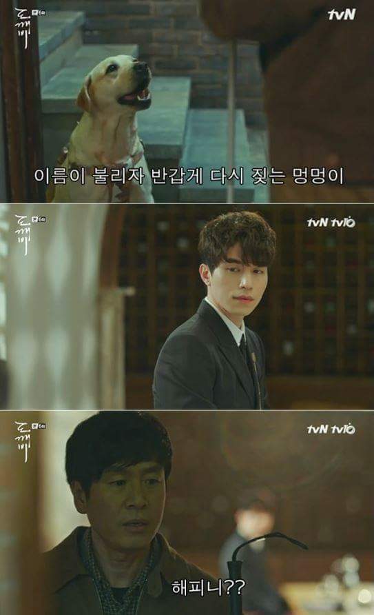 사람이 죽으면 먼저 가있던 반려동물이 마중나온다는 얘기가 있다.jpg | 인스티즈