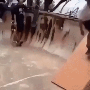 여러분 절대 개 키우지 마세요 | 인스티즈