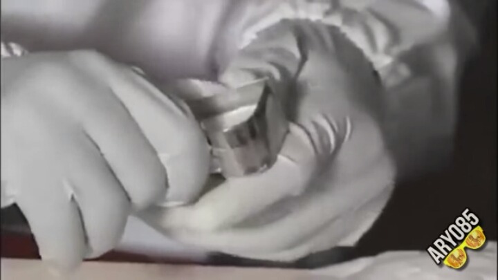 요리하는 침팬치 | 인스티즈