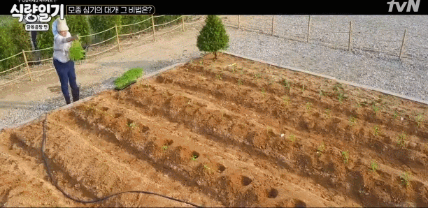 재능기부하는 서장훈 | 인스티즈