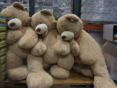 코스트코 곰돌이 | 인스티즈