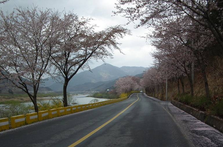 대한민국 최고의 드라이브코스들 총망라 | 인스티즈
