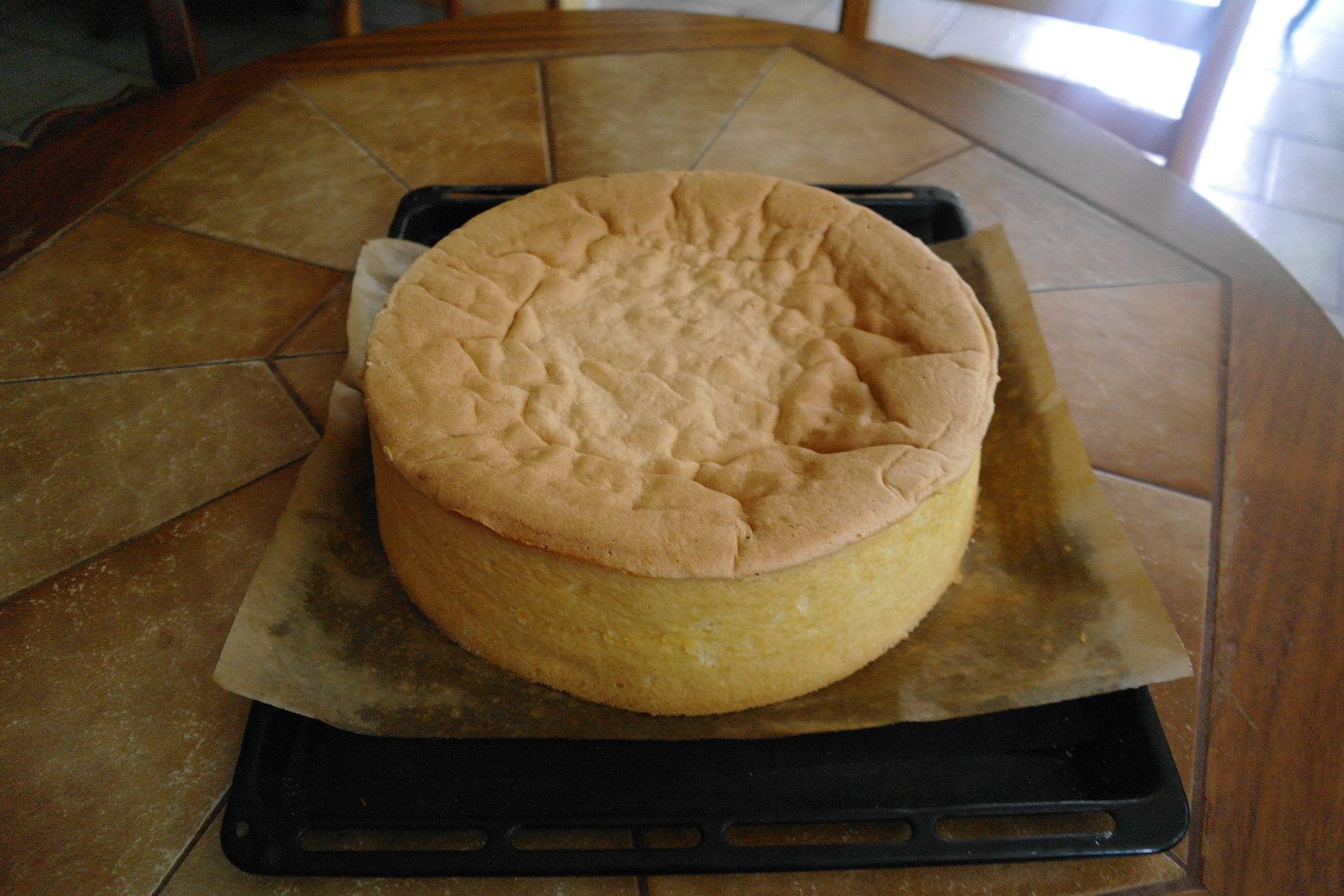 쵸크쵸크 달콤한 스펀지 케이크 | 인스티즈