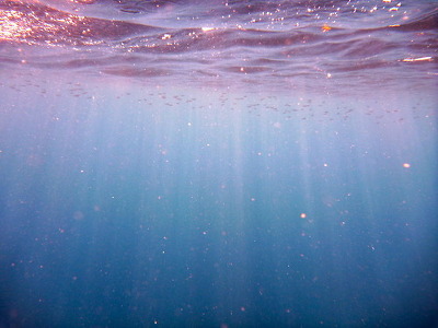 알아? 네가 있어서 세상에 태어난 게 덜 외롭다_위로 | 인스티즈