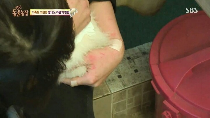 힘들어하는 여성 동물 사육사..jpg | 인스티즈