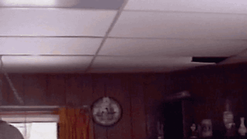 아주 사고뭉치다냥 | 인스티즈