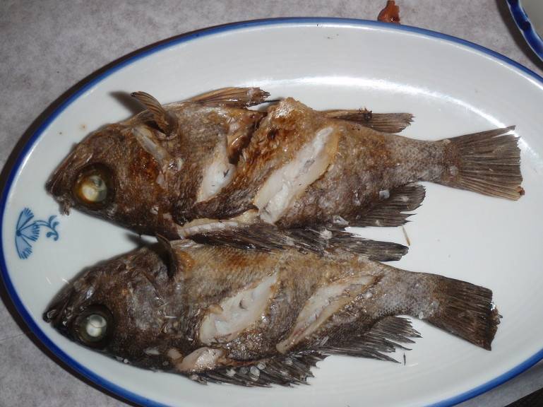 대한민국에서 제일 음식맛좋은 지역은 어디 | 인스티즈