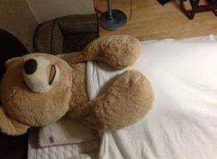 코스트코 곰돌이 | 인스티즈