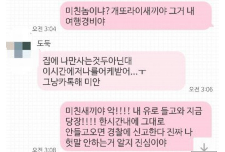남자친구가 350만원 훔쳐서 도망갔어요 | 인스티즈