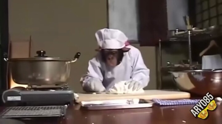 요리하는 침팬치 | 인스티즈