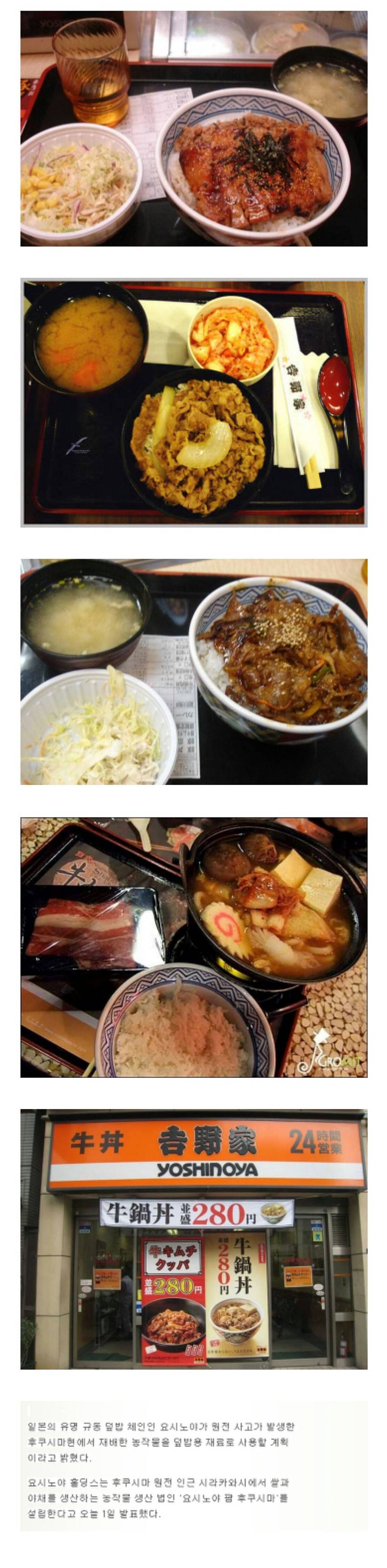 일본가면 피해야할 덮밥집 | 인스티즈