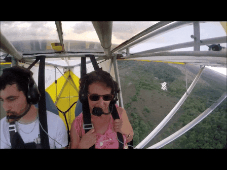 뱅기에 숨어있다가 하늘을 날게된 냥이 | 인스티즈