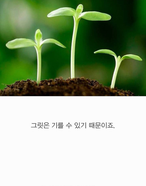 니가 아무리 내 딸이라도 넌 재능이 없어 | 인스티즈
