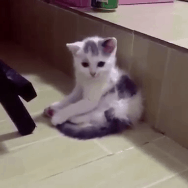 니가 왜 거기서 나와?.gif | 인스티즈