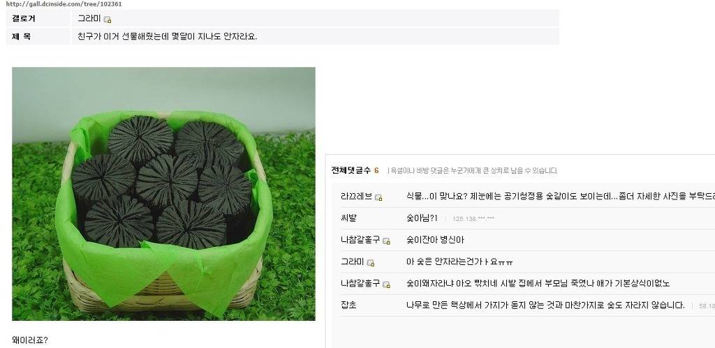 추억의 고전자료 | 인스티즈