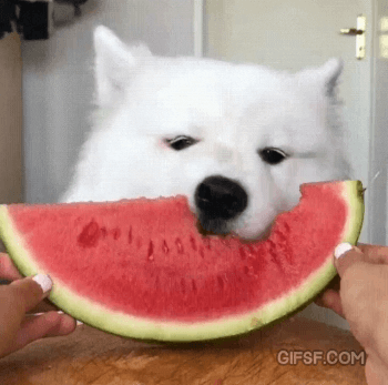 서로 부러워 하는 만화 | 인스티즈