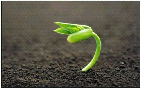 2018년 첫 아.jpg | 인스티즈