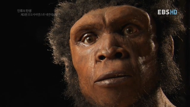 말도 안되는 연예인 닮은 꼴 모아봄 | 인스티즈