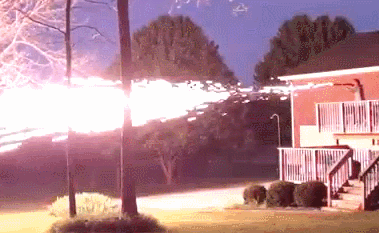 실제 샷건의 사거리와 위력 | 인스티즈