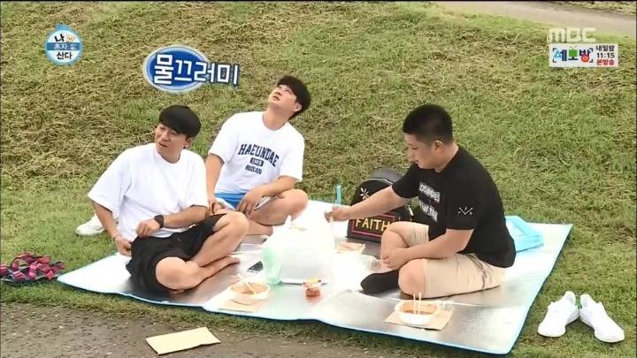 한강에서 갈매기를 본 부산人 | 인스티즈