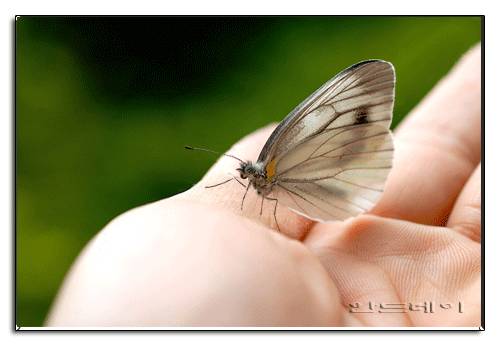 어느날... 당신에게 3가지 초능력이 주어진다면!? | 인스티즈