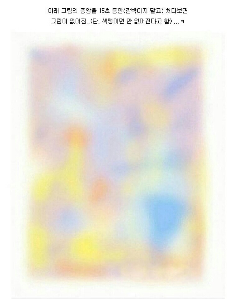 색맹이면 안 없어진다는 사진 ㄷㄷㄷㄷ | 인스티즈