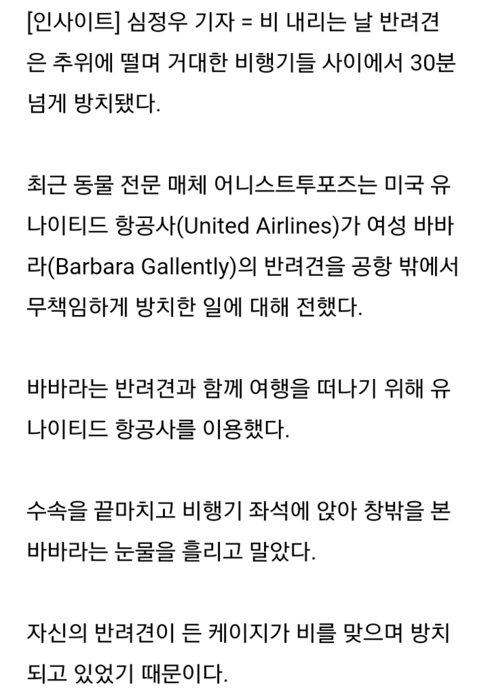 반려견 주인이 눈물 흘린 이유 | 인스티즈