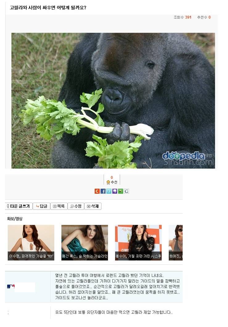 사람이 제압가능한 동물 | 인스티즈