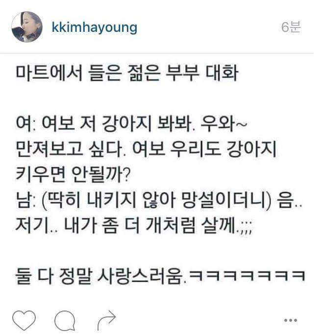 남편이 개가 된 이유 | 인스티즈