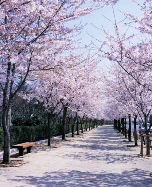 100일 뒤.jpg | 인스티즈