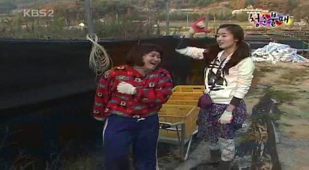 연예인 모음 | 인스티즈