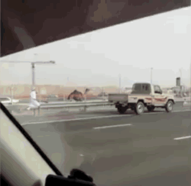 질주하는 주타조.gif | 인스티즈