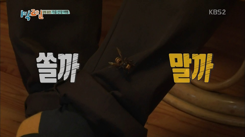 오늘자 1박2일의 끈끈한의리 | 인스티즈