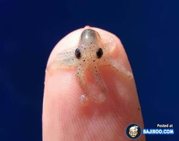 누구에게나 어린시절은 있다 | 인스티즈