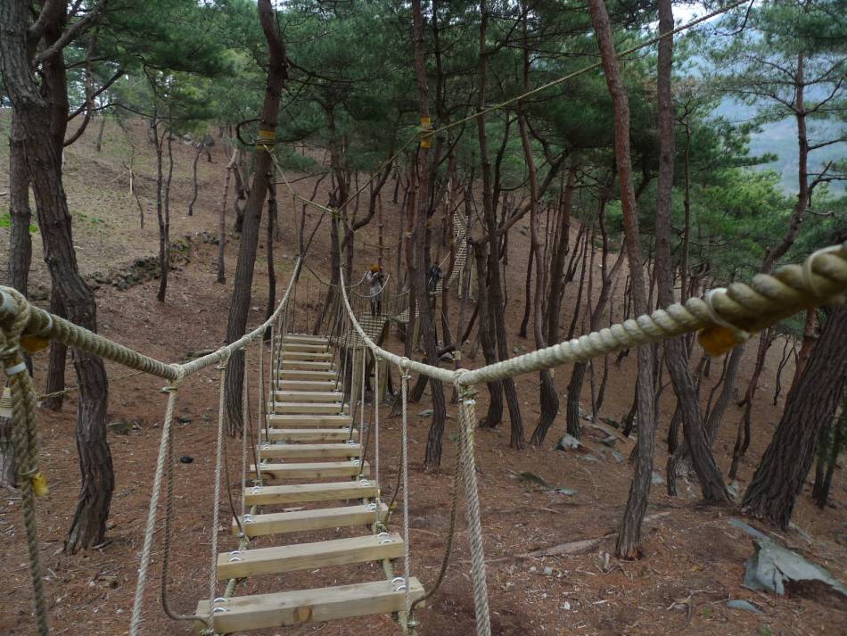 도서관에서 볼 수 있는 사람들 유형 | 인스티즈