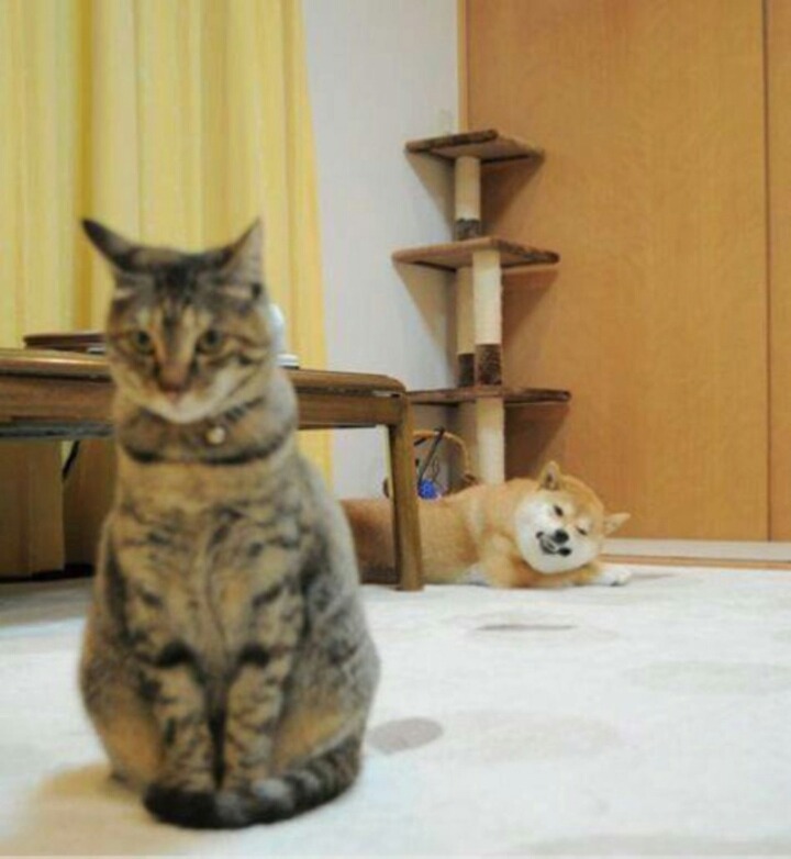 이상하게 기분이 나빠... | 인스티즈