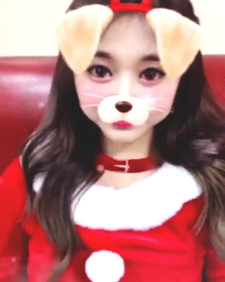 강아지같은 쯔위 | 인스티즈