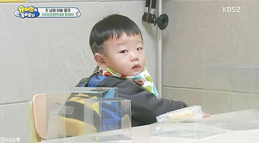 바나나 까달라고 쳐다보는 대박이.gif | 인스티즈