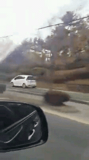 기적의 운전 방법...gif | 인스티즈