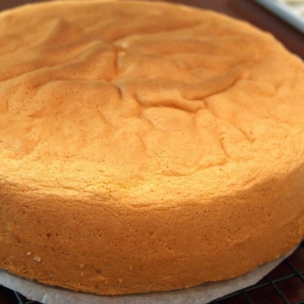 쵸크쵸크 달콤한 스펀지 케이크 | 인스티즈