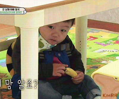 바나나 까달라고 쳐다보는 대박이.gif | 인스티즈