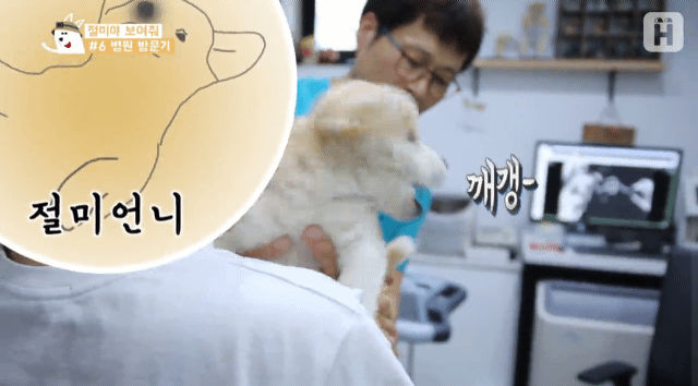 1 - 짱절미의 병원 방문기.jpgif | 인스티즈