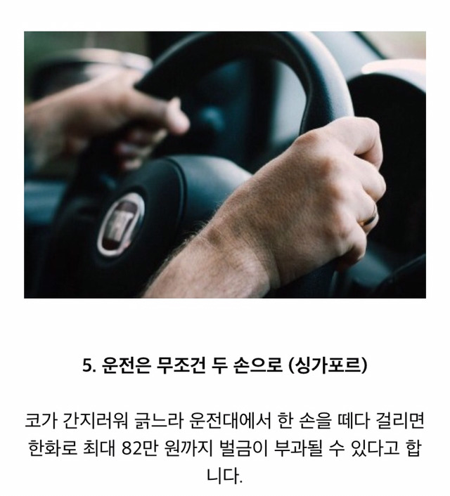 실제로 있는 각 나라의 금지법 | 인스티즈