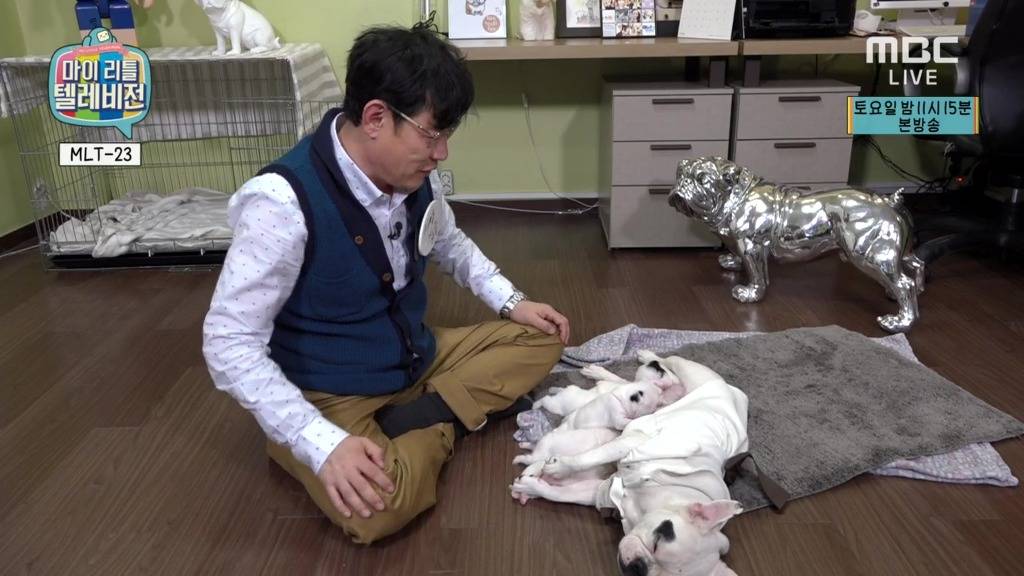 마리텔 2경규방 2장으로 요약 | 인스티즈