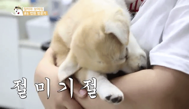 3 - 짱절미의 병원 방문기.jpgif | 인스티즈