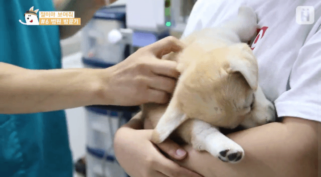 3 - 짱절미의 병원 방문기.jpgif | 인스티즈