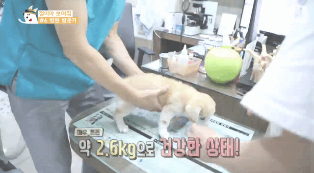 1 - 짱절미의 병원 방문기.jpgif | 인스티즈