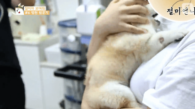 3 - 짱절미의 병원 방문기.jpgif | 인스티즈