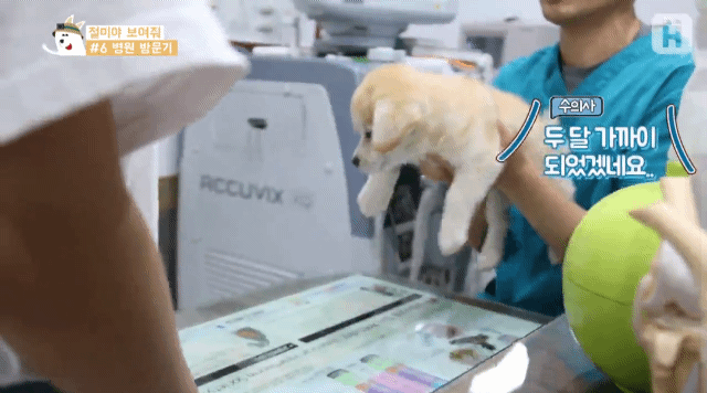 1 - 짱절미의 병원 방문기.jpgif | 인스티즈