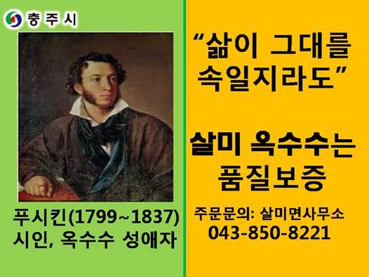 어느 지자체의 흔한 지역 홍보물 | 인스티즈
